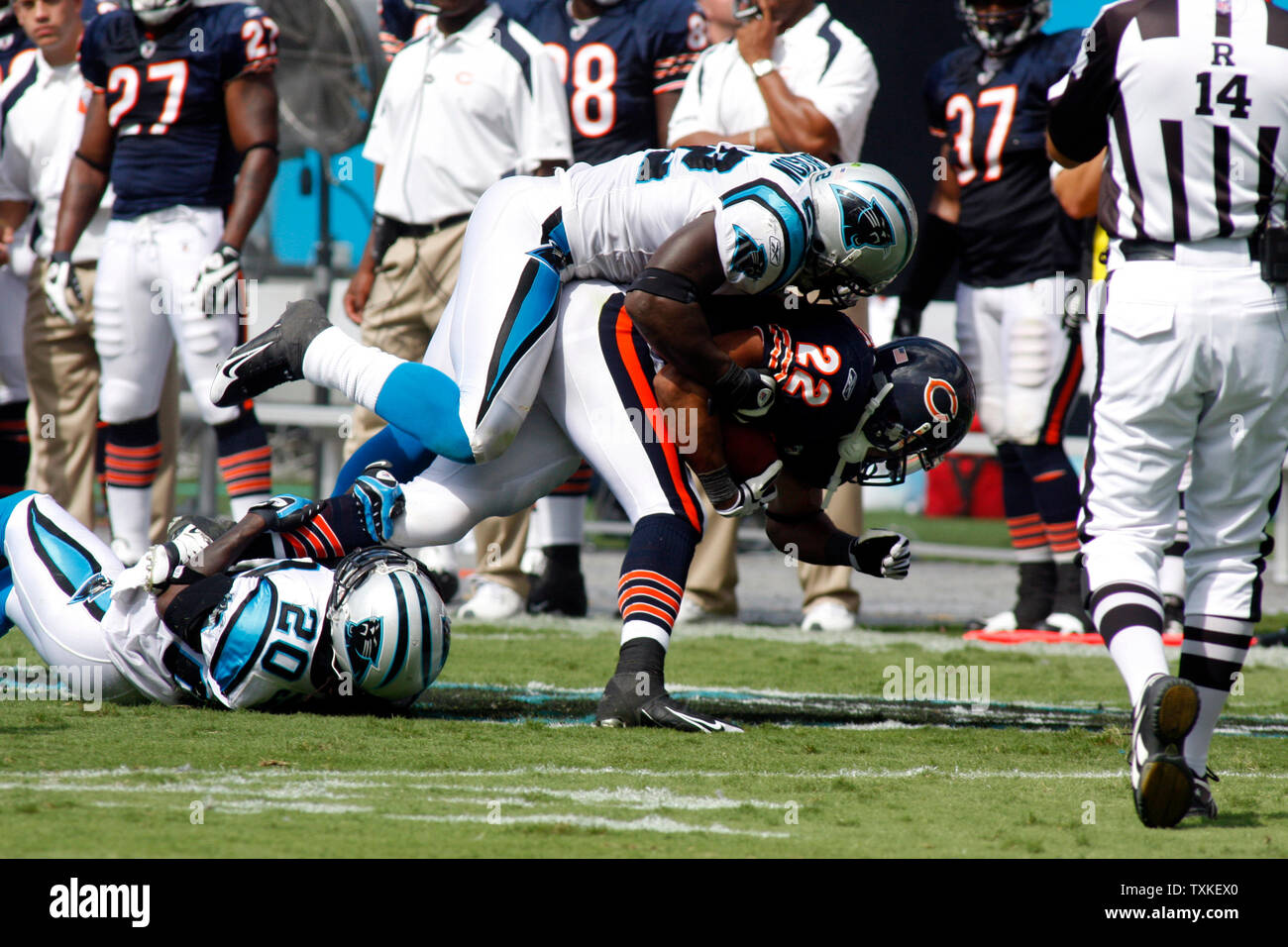 Carolina Panthers linebacker Jon Beason (52) hits Chicago Bears running back Matt Forte (22) while cornerback Chris Gamble (20) holds on in the fourth quarter at Bank of America Stadium on September 14, 2008 in Charlotte, North Carolina. The Panthers beat the Bears 20-17.   (UPI Photo/Bob Carey) Stock Photo