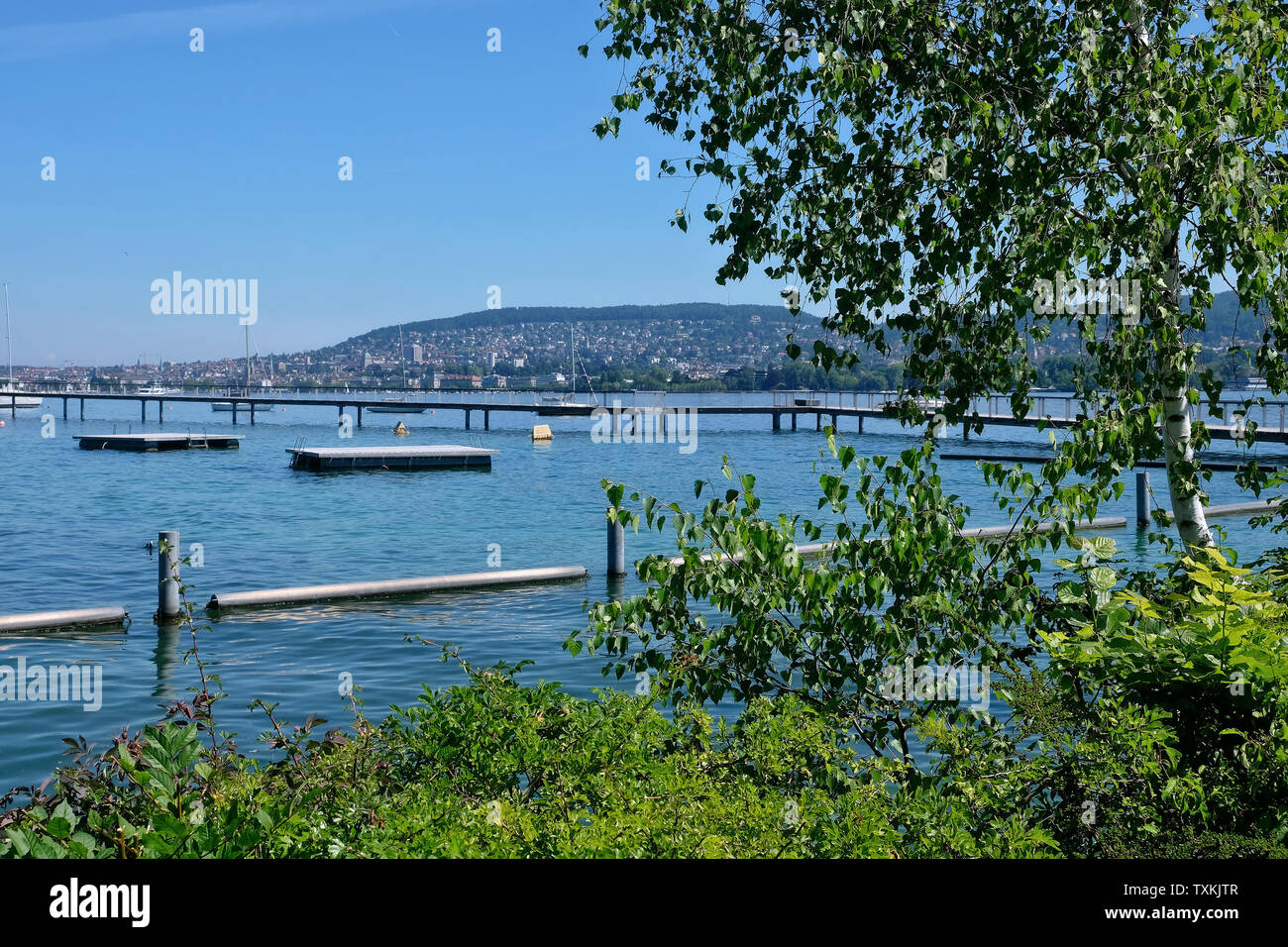 Bathing beach Wollishofen on the bank of Lake Zurich Stock Photo Alamy