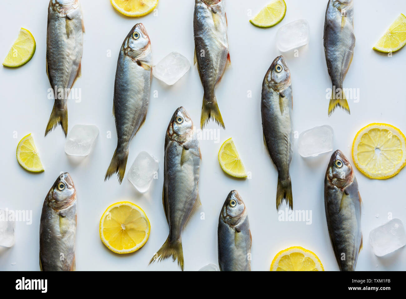 Fresh bluefish with lemon on white background. Fish pattern. View from above. Flat lay. Stock Photo