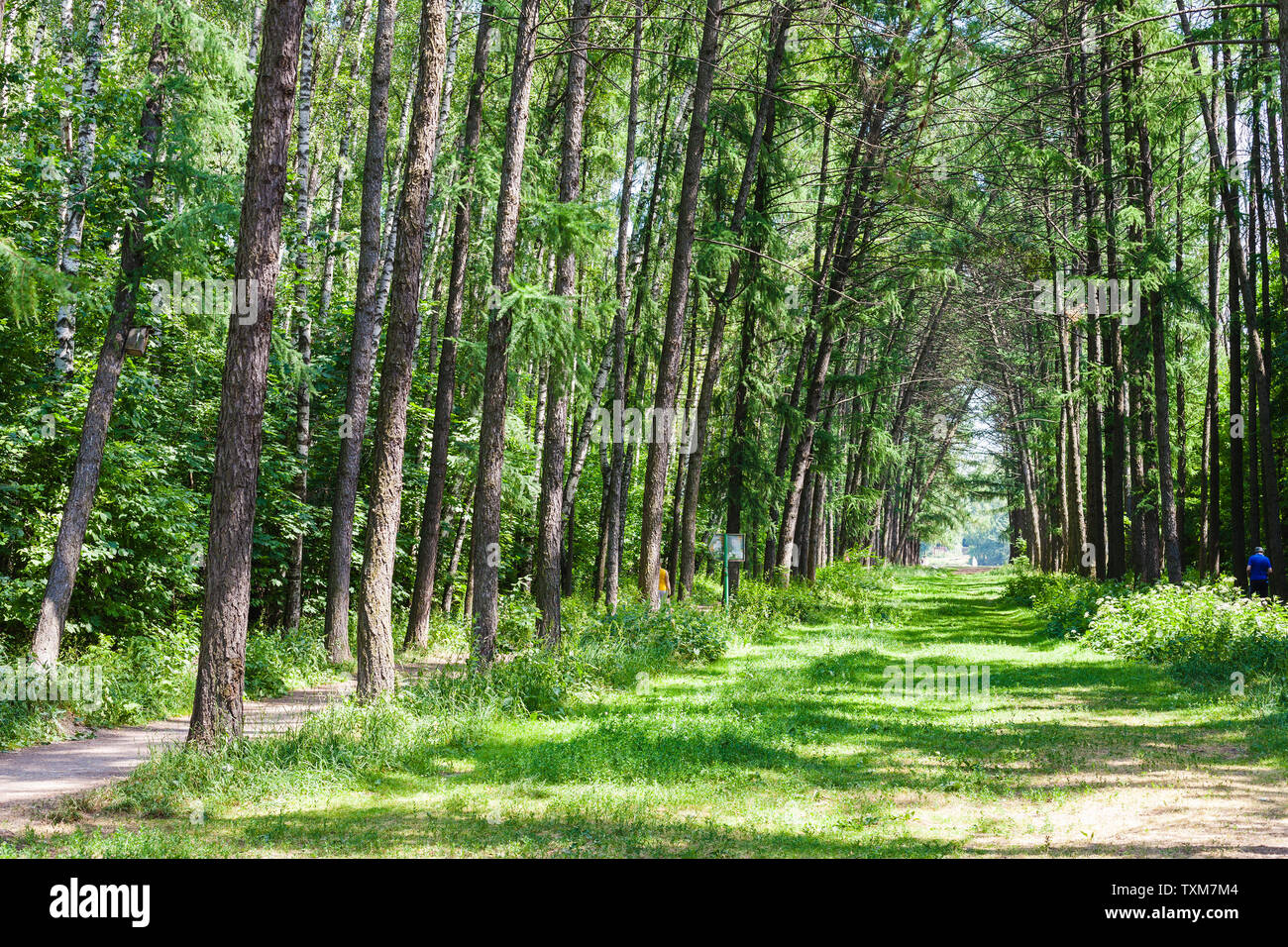 Pedestrian alley in green hi-res stock photography and images - Alamy