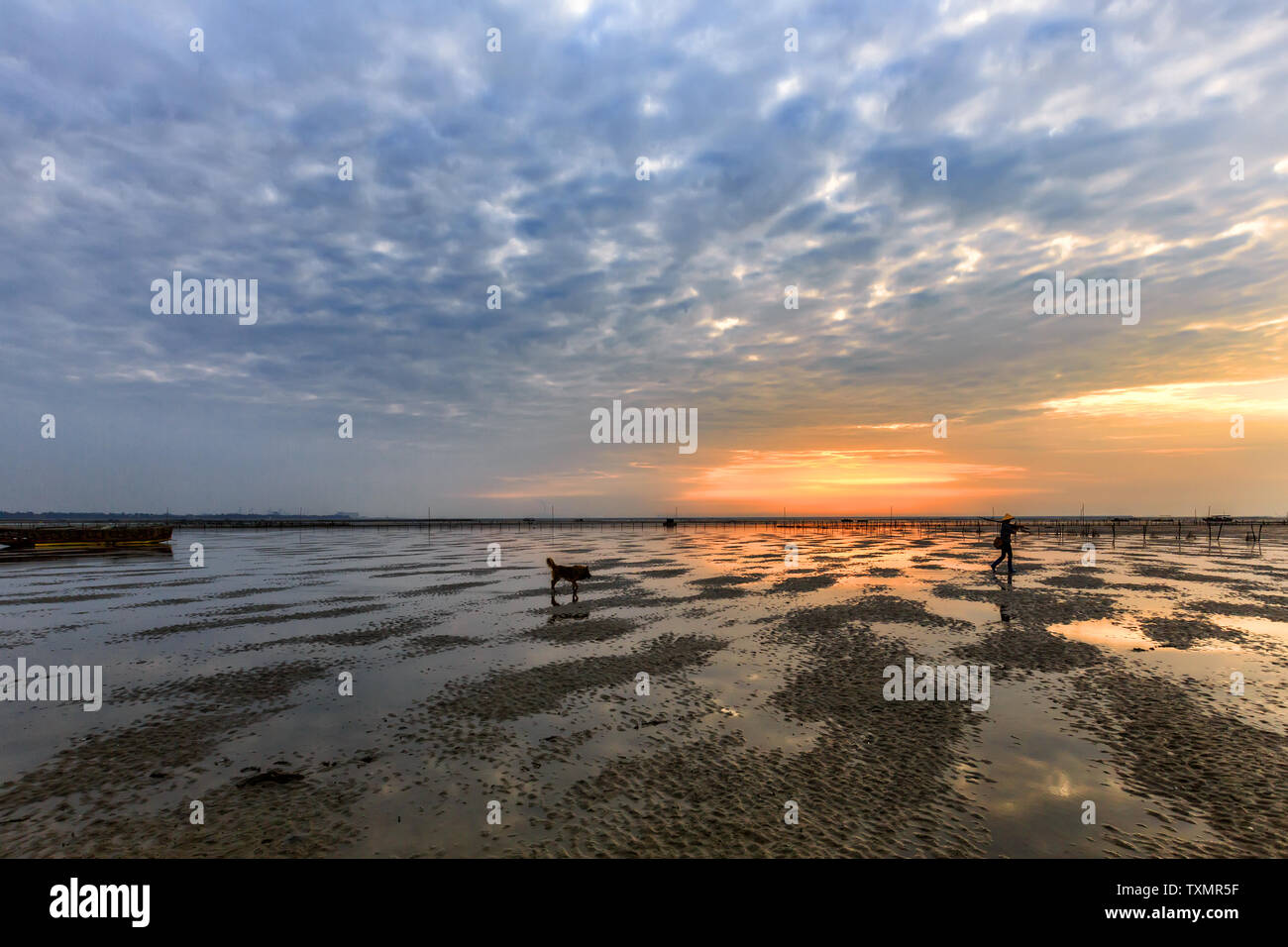 Beach, sea, early sunset, fishing boat, trestle Stock Photo - Alamy