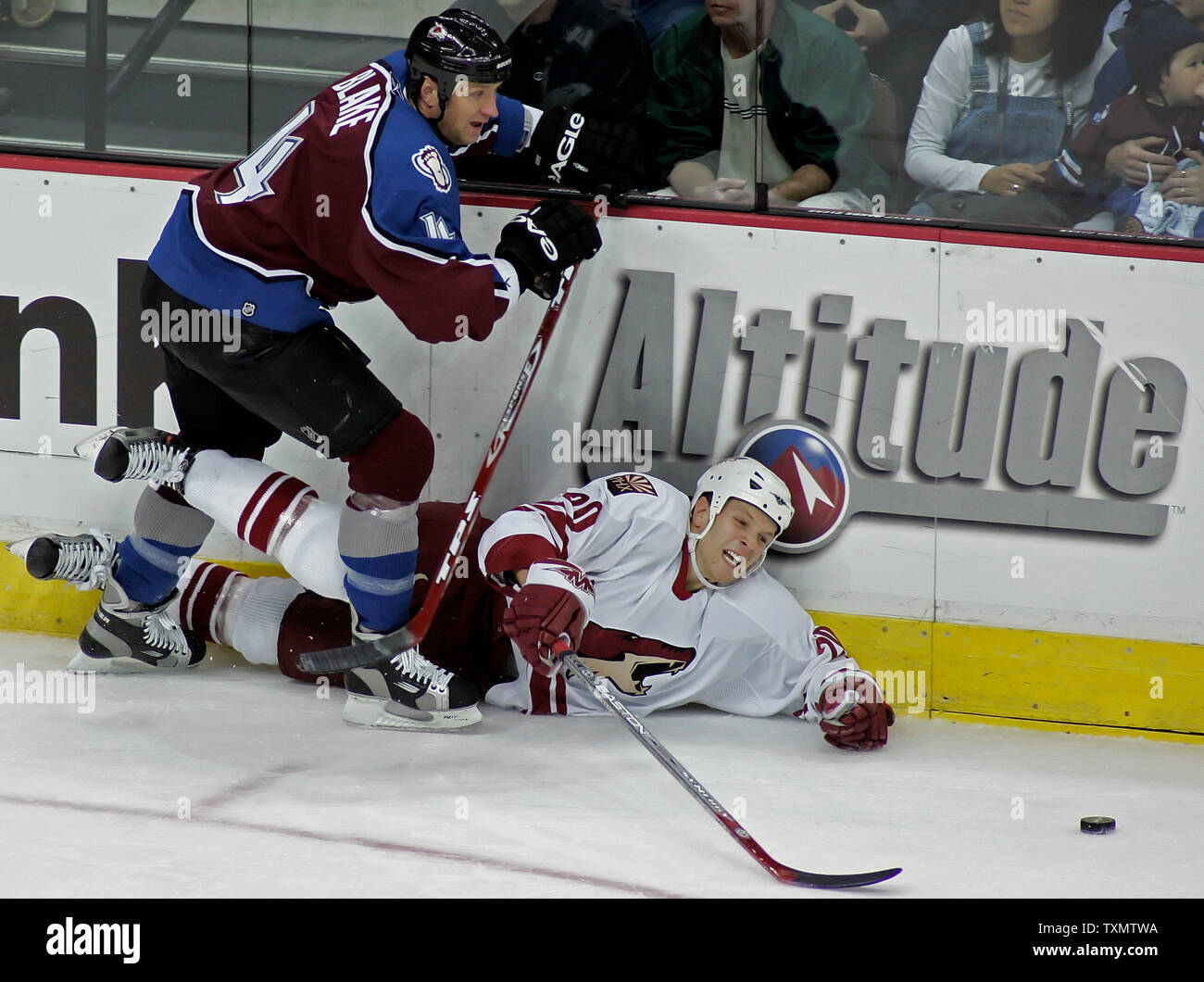 Bertuzzi hi-res stock photography and images - Page 2 - Alamy