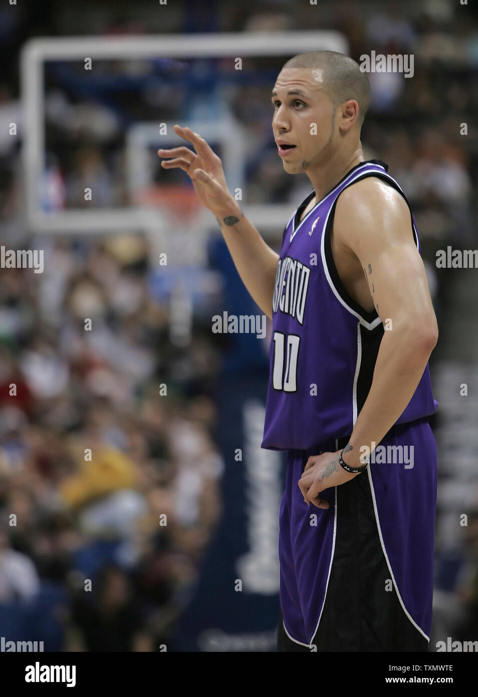 4,565 Kings Mike Bibby Stock Photos, High-Res Pictures, and Images