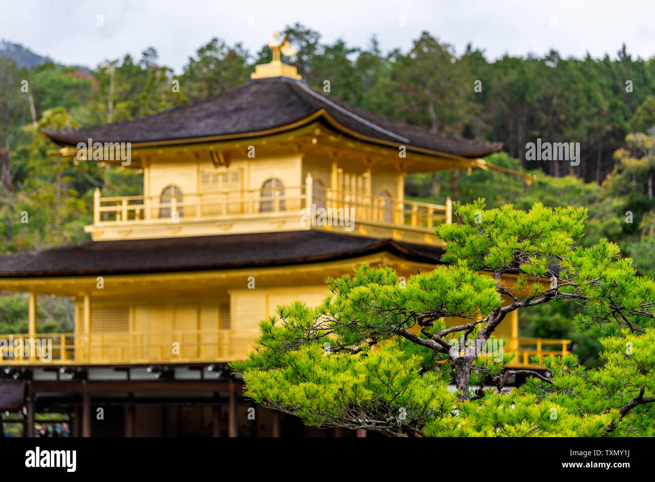 Is a zen buddhist temple in kyoto hires stock photography and images