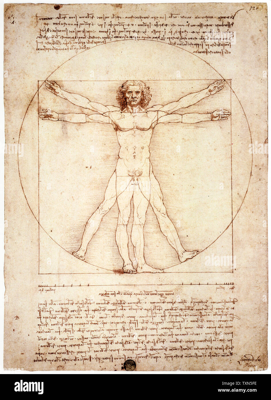 Leonardo Da Vinci, Vitruvian Man, drawing, circa 1492 Stock Photo