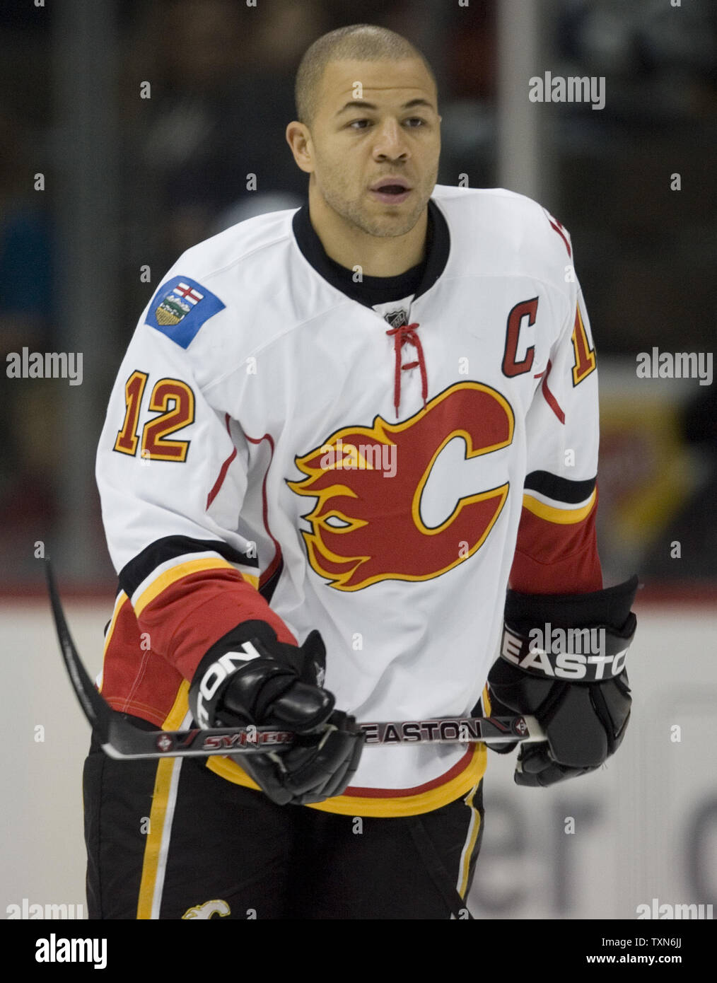Jarome Iginla Calgary Flames Editorial Photography - Image of flames,  easton: 36453297
