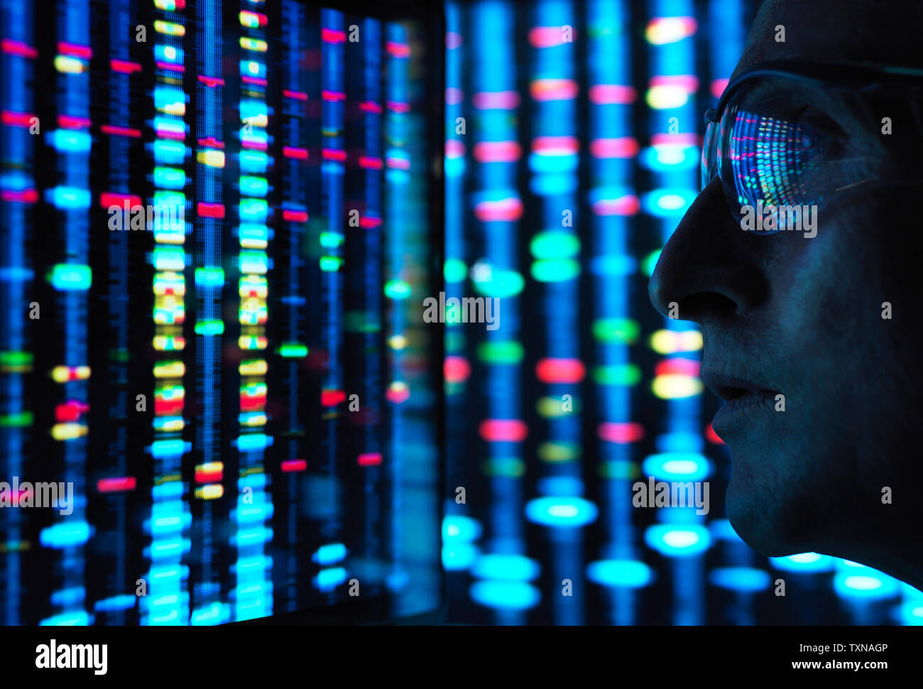 Genetic Research, scientist viewing DNA information on screens Stock Photo