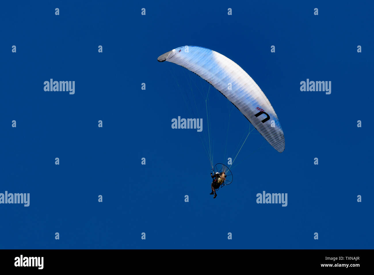 Hang gliding in along the Dorset coast Stock Photo Alamy