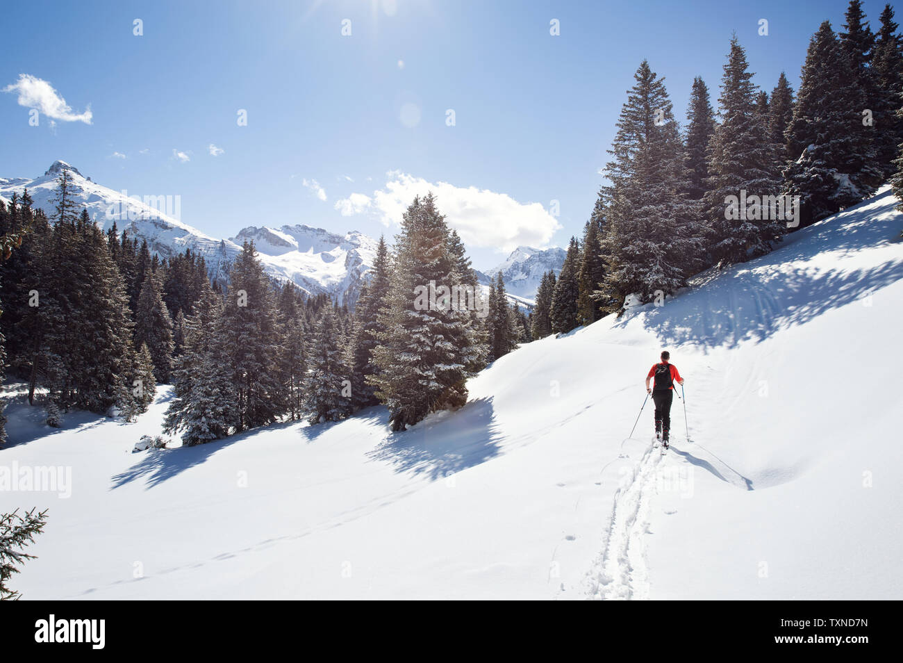 Mature man snowshoeing in snow covered mountain forest, distant rear view, Styria, Tyrol, Austria Stock Photo