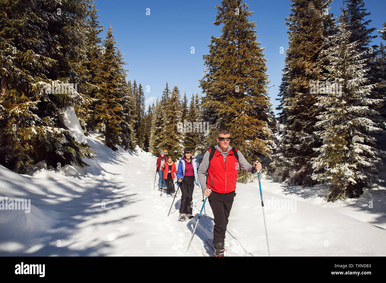 Mature couple and daughters snowshoeing in snow covered forest landscape, Styria, Tyrol, Austria Stock Photo