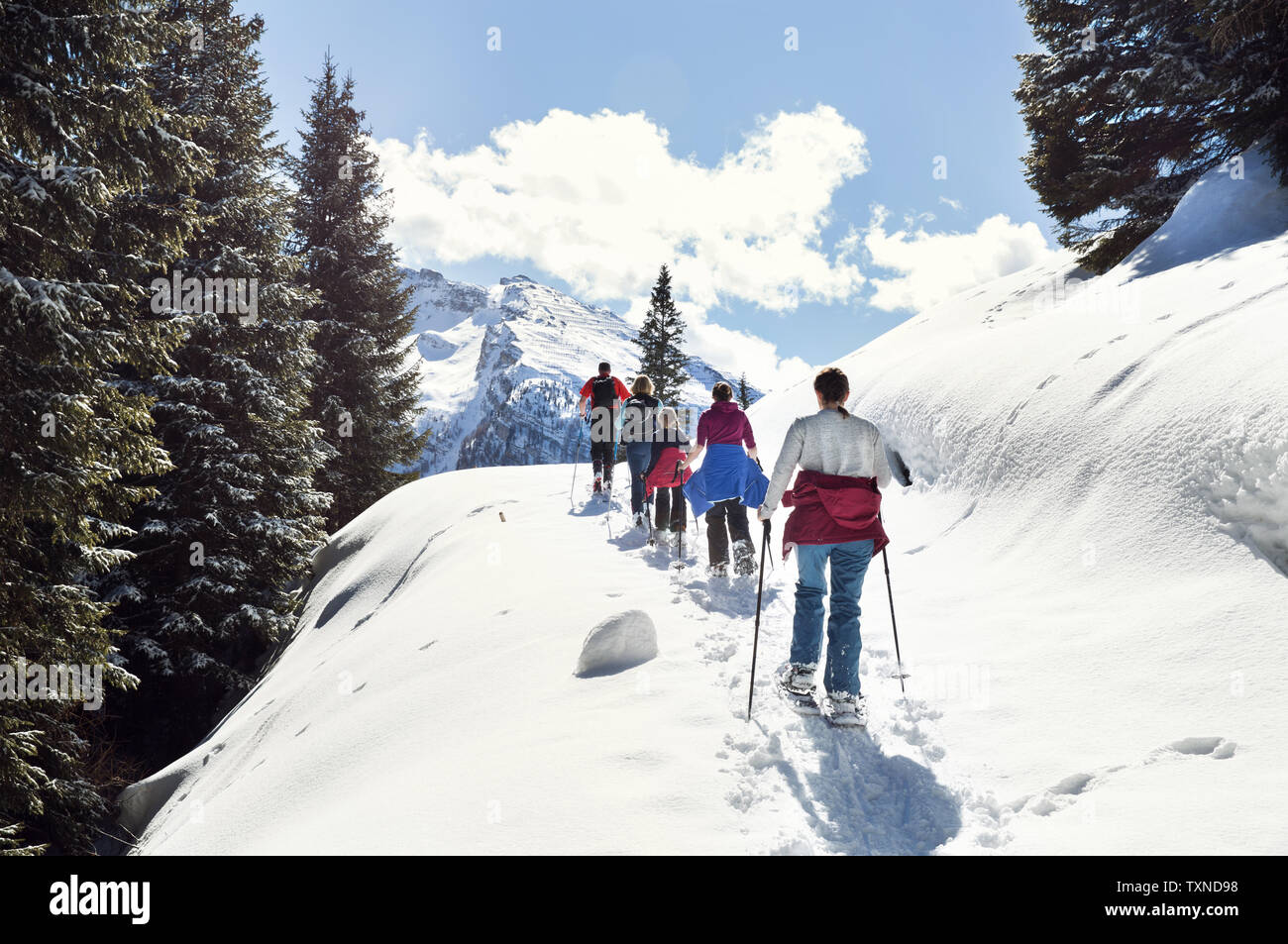 Mature couple and daughters snowshoeing in snow covered mountain landscape, rear view, Styria, Tyrol, Austria Stock Photo