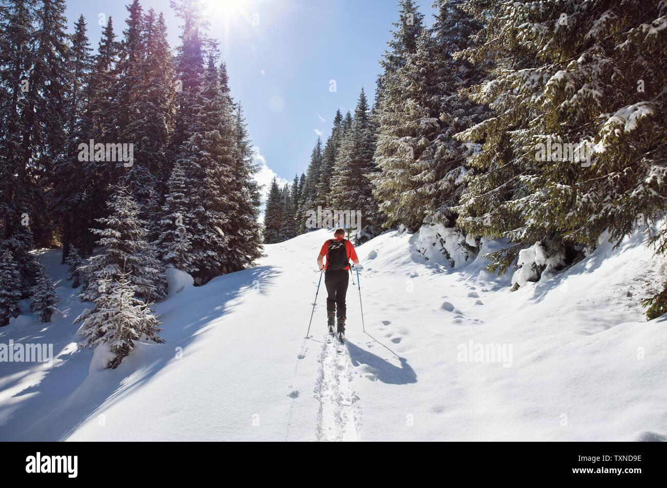 Mature man snowshoeing in snow covered mountain forest, rear view, Styria, Tyrol, Austria Stock Photo