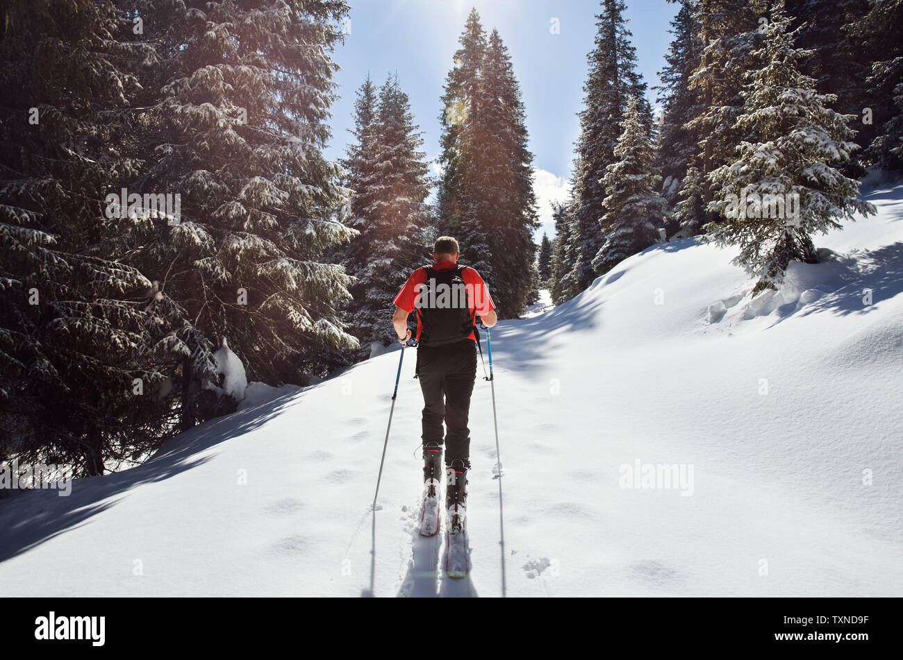 Mature man snowshoeing in snow covered mountain forest, rear view, Styria, Tyrol, Austria Stock Photo