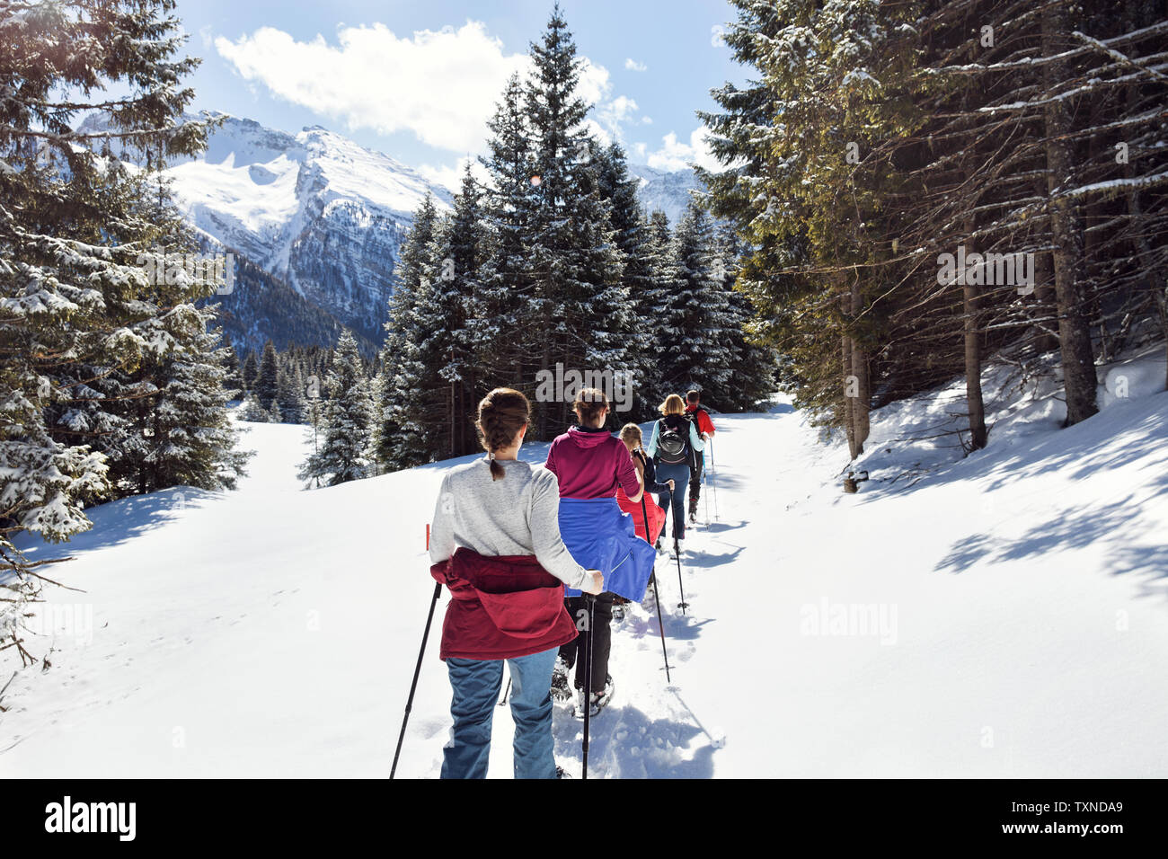 Mature couple and daughters snowshoeing in snow covered mountain landscape, rear view, Styria, Tyrol, Austria Stock Photo