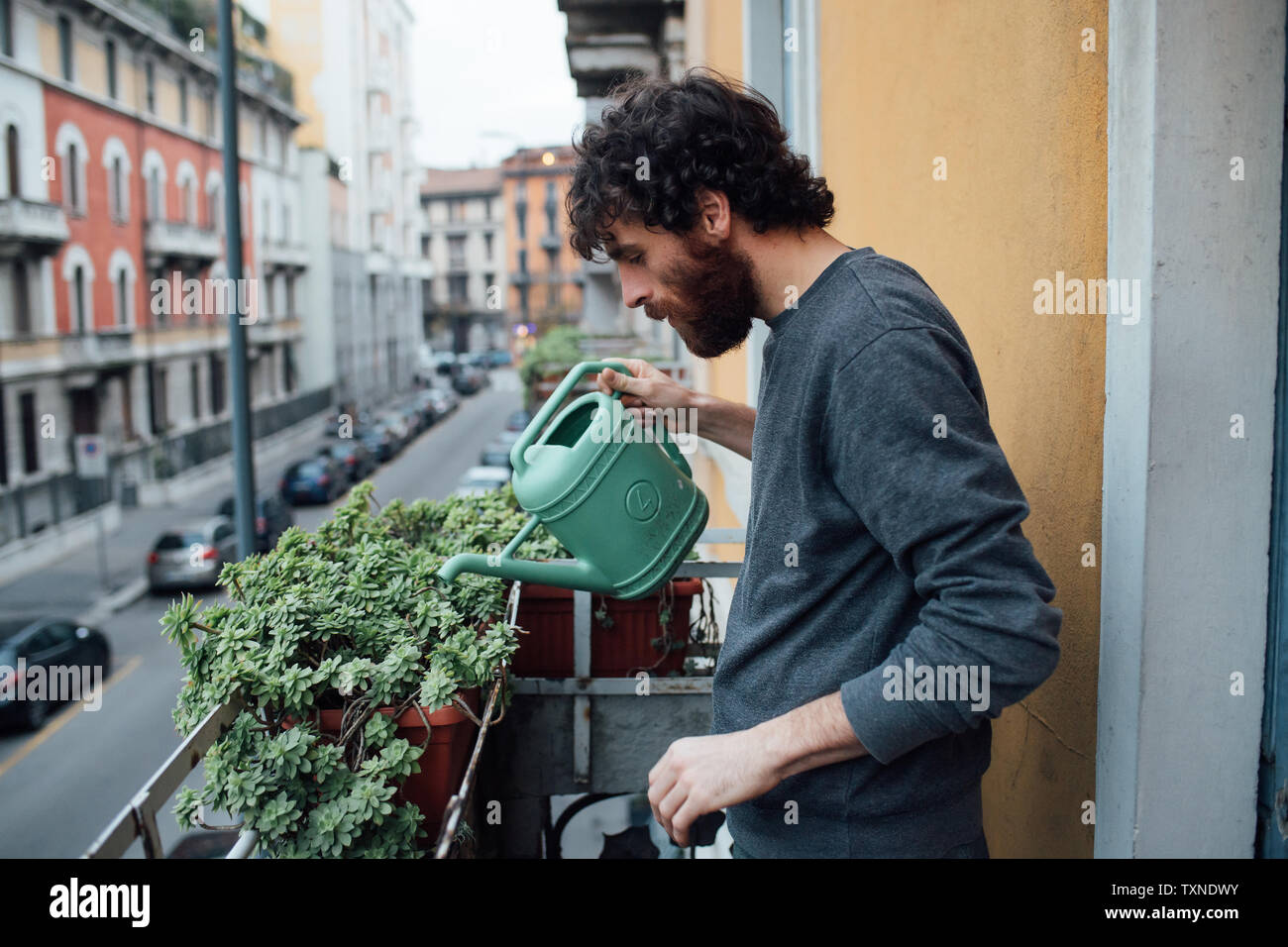 Bearded young man watering plants on balcony Stock Photo