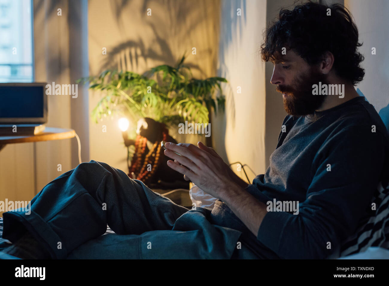 Bearded young man using smartphone in bed Stock Photo