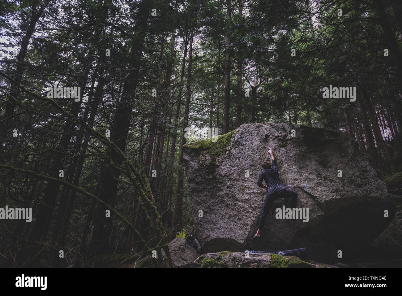 Climber bouldering in forest, Squamish, Canada Stock Photo