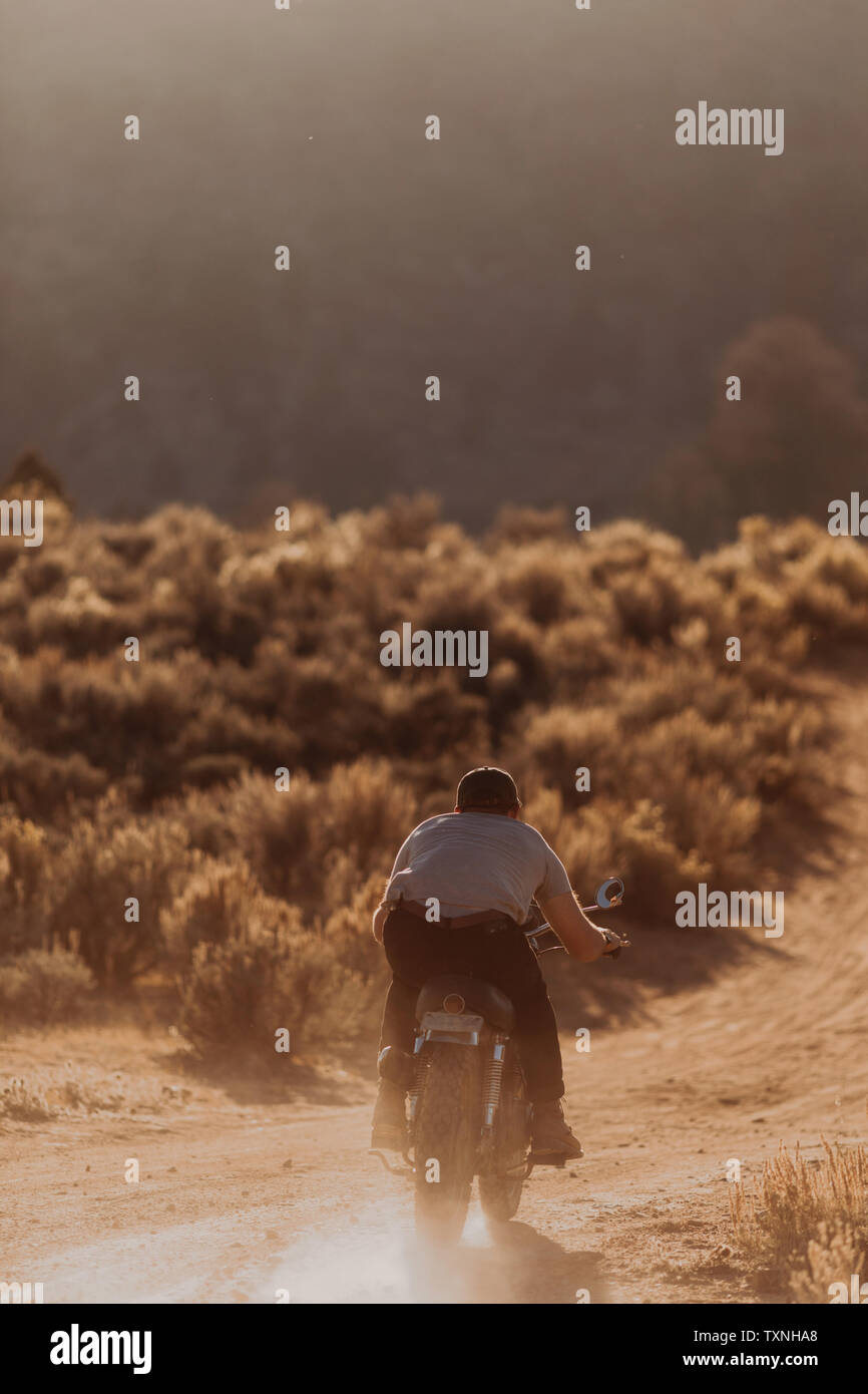 Motorbiker raising dust, Kennedy Meadows, California, US Stock Photo