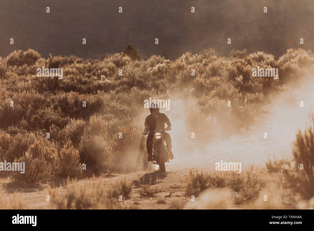 Motorbiker raising dust, Kennedy Meadows, California, US Stock Photo