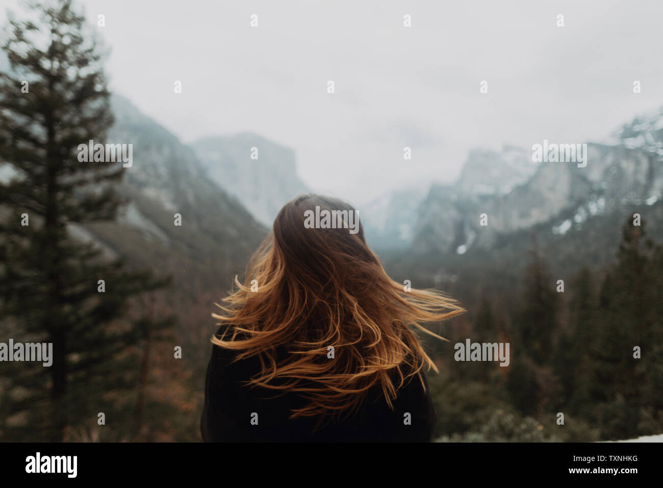 Young woman shaking long brown hair in mountain landscape, rear view, Yosemite Village, California, USA Stock Photo