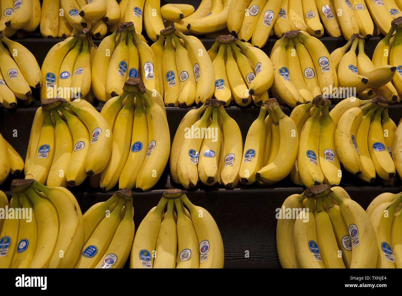 Chicquita bananas sits on their racks at the King Soopers supermarket