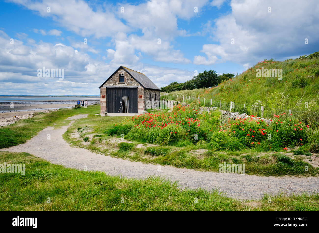 Poppies surround the Old Lifeboat House in Lindisfarne, Holy Island