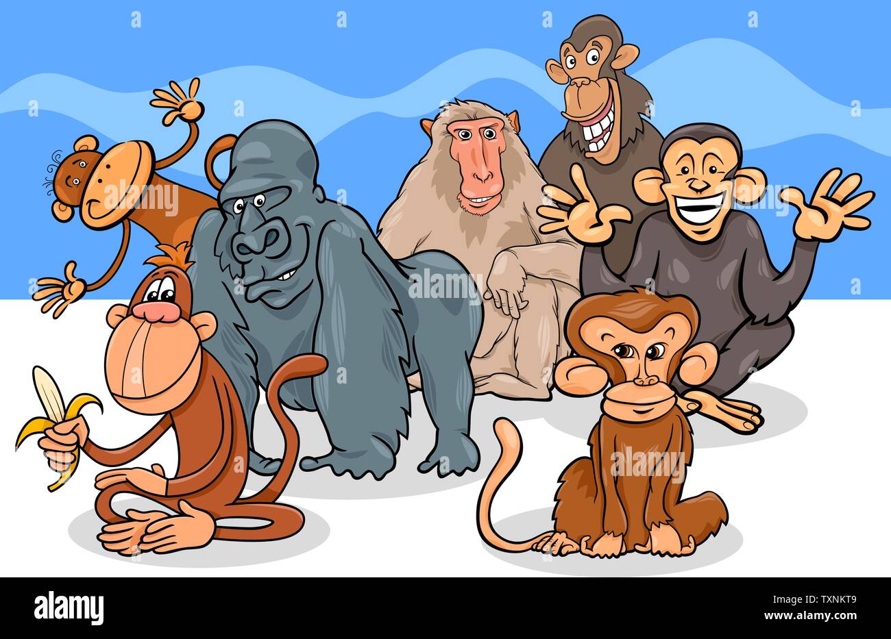 Cartoon Illustration of Funny Monkeys and Apes Animal Characters Group  Stock Vector Image & Art - Alamy
