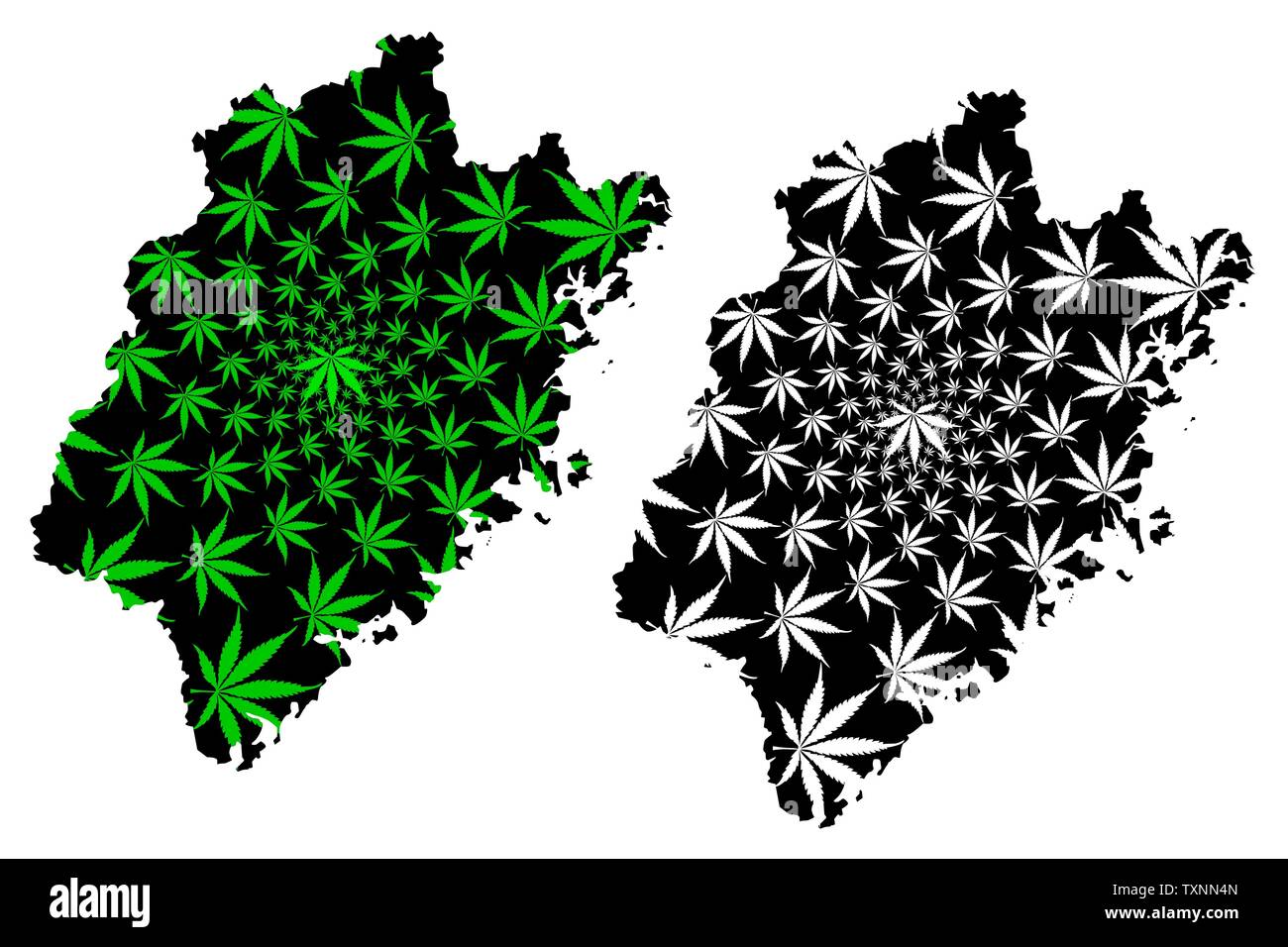 Fujian Province (Administrative divisions of China, China, People's Republic of China, PRC) map is designed cannabis leaf green and black, Fujian map Stock Vector