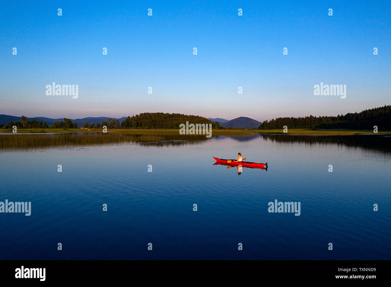 Aerial rear view of athletic woman kayaking at sunset on lake Cerknica, Slovenia, taken by drone. Stock Photo