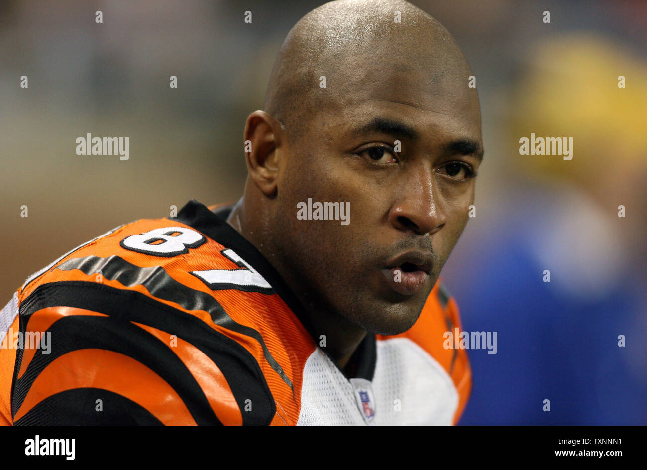 Cincinnati Bengals wide receiver Kelley Washington (87) takes deep breaths to catch his breath in the fourth quarter against the Detroit Lions December 18, 2005 at Ford Field in Detroit.  (UPI Photo/Scott R. Galvin) Stock Photo