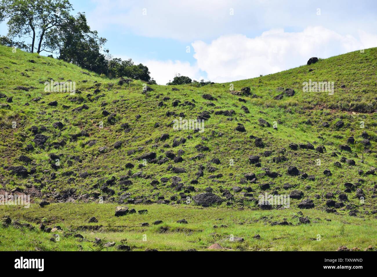 Mountain green hills landscape. Green hills in mountains. Green mountain hills panorama. Mountain green hills view Stock Photo