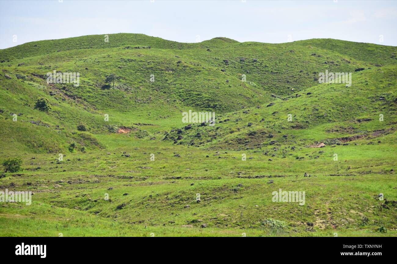 Mountain green hills landscape. Green hills in mountains. Green mountain hills panorama. Mountain green hills view Stock Photo