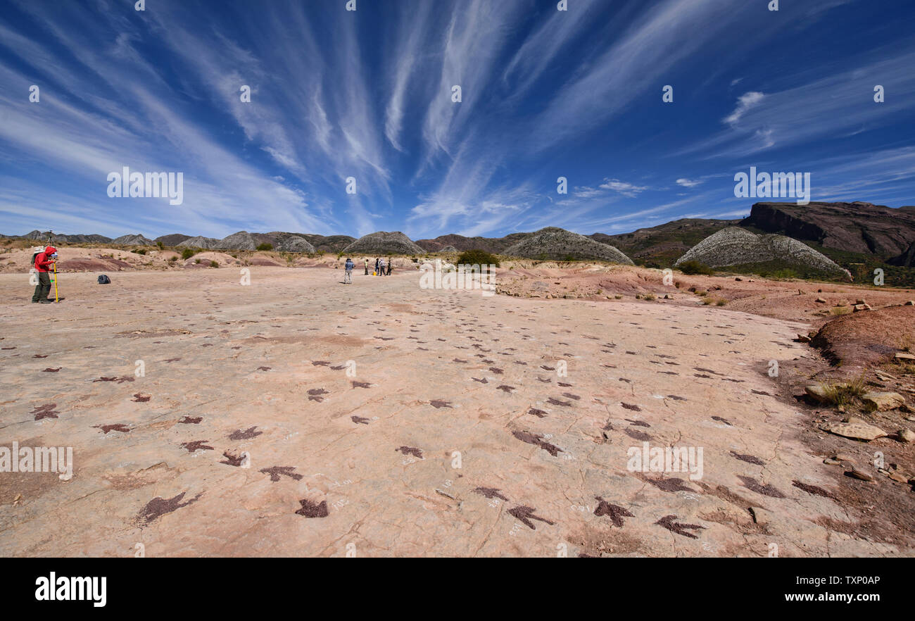 Sauropod footprints hires stock photography and images Alamy