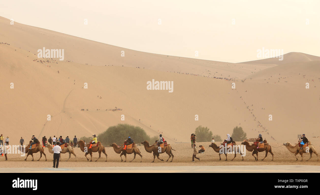 Chinese ride camels at the Crescent Lake tourist area located at the ...