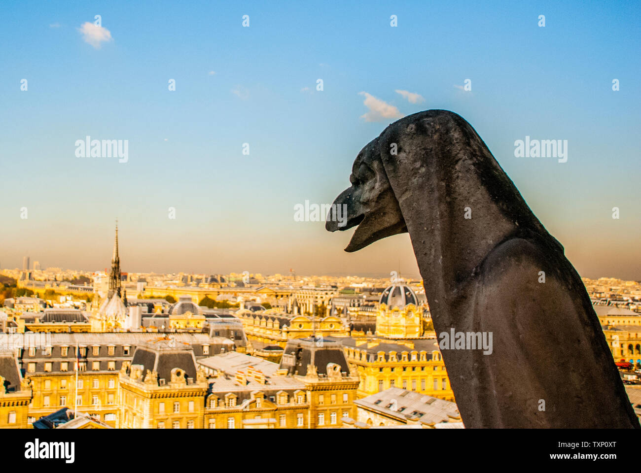 Le Stryge Chimera overlooks Paris from atop Notre-Dame de Paris. Stock Photo