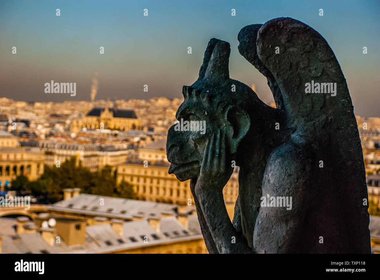Le Stryge Chimera overlooks Paris from atop Notre-Dame de Paris. Stock Photo