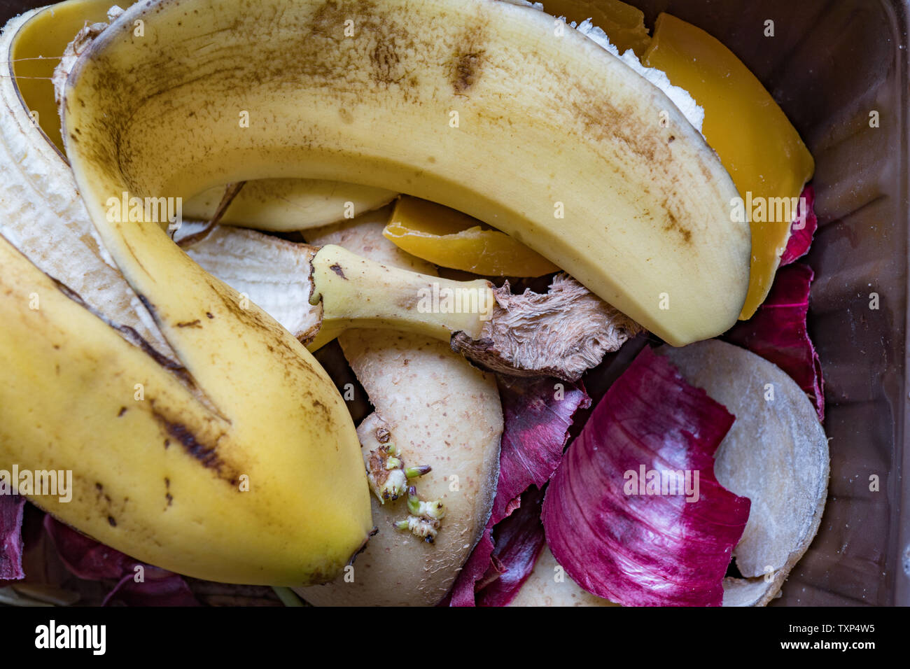 Fruit and vegetable peeling in container ready to be put in compost bin