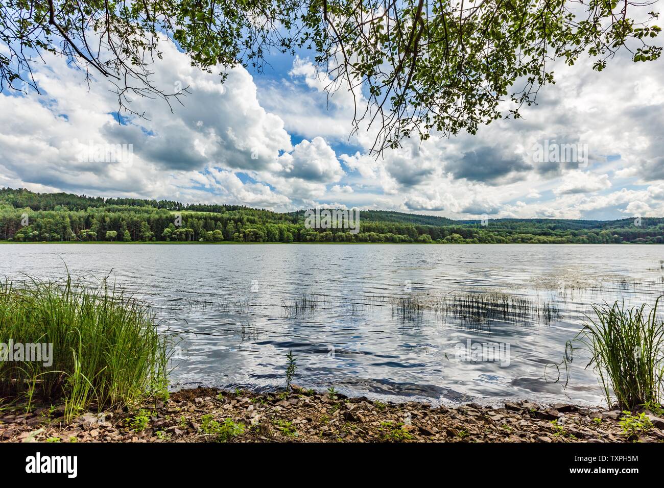 Spring landscape with view of lake from stony shore with green grass ...