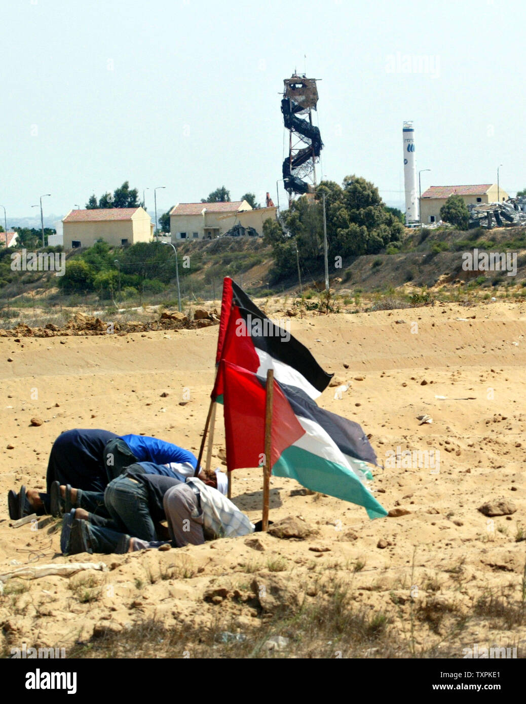 Paray For Rafah Palestinians pray in the city of Rafah as Israeli bulldozers destroy ...