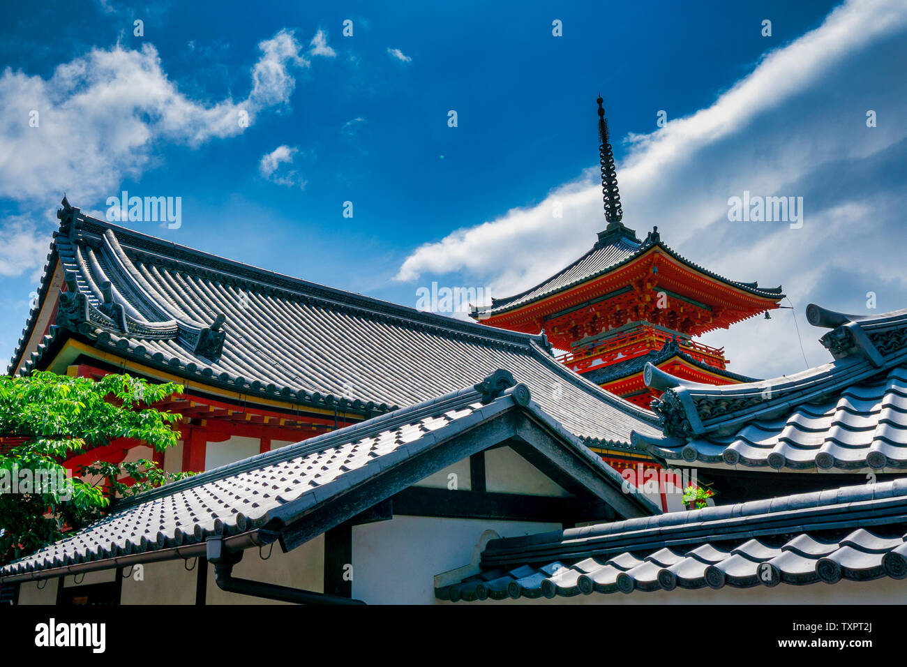 Yasaka Shrine during Holiday Season Stock Photo