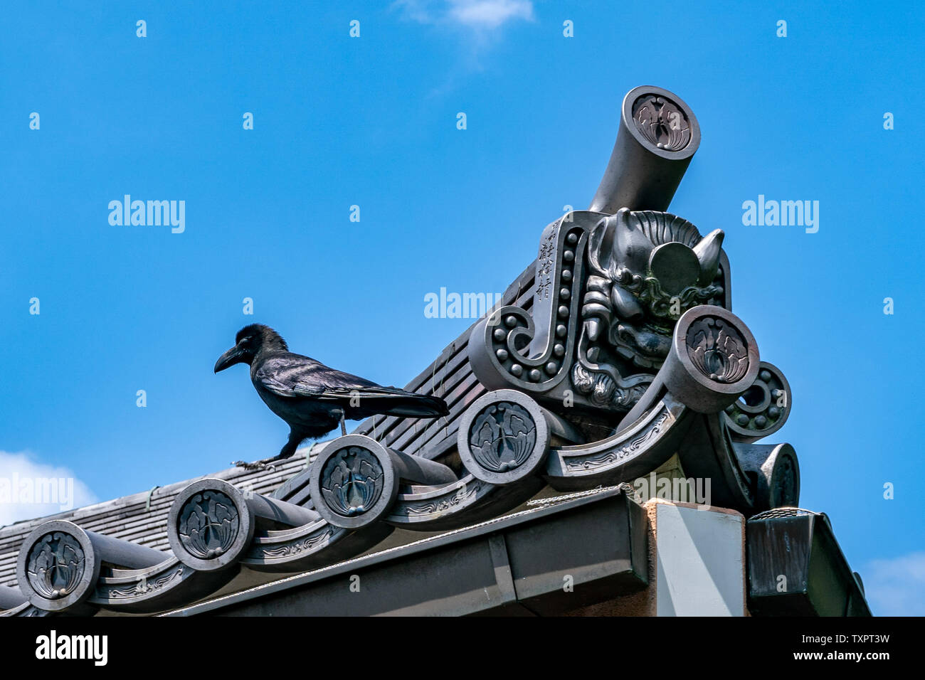 Yasaka Shrine during Holiday Season Stock Photo