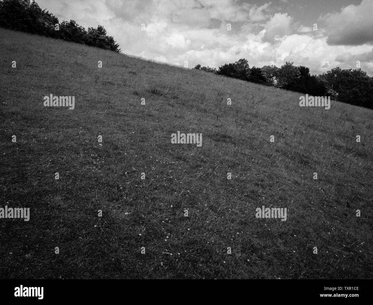 Black and White Landscape of The Berkshire Downs, Streatley, Berkshire
