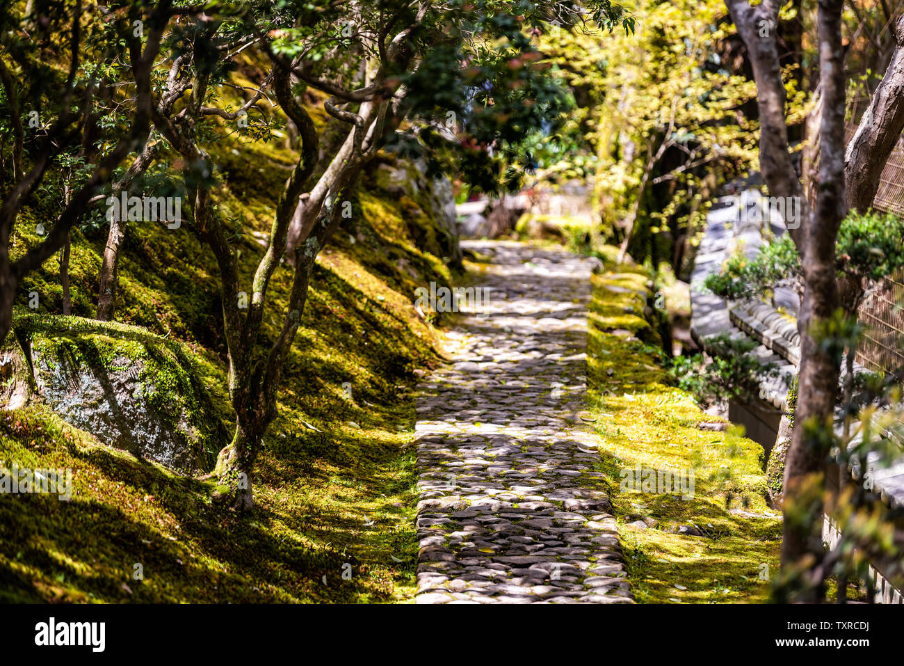 Nara, Japan traditional garden during spring with old stone path road closeup in Japanese style Stock Photo