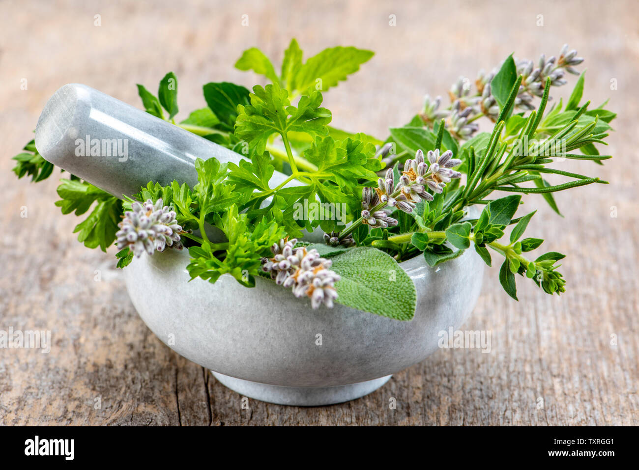 Alternative medicine with medicinal plants Stock Photo