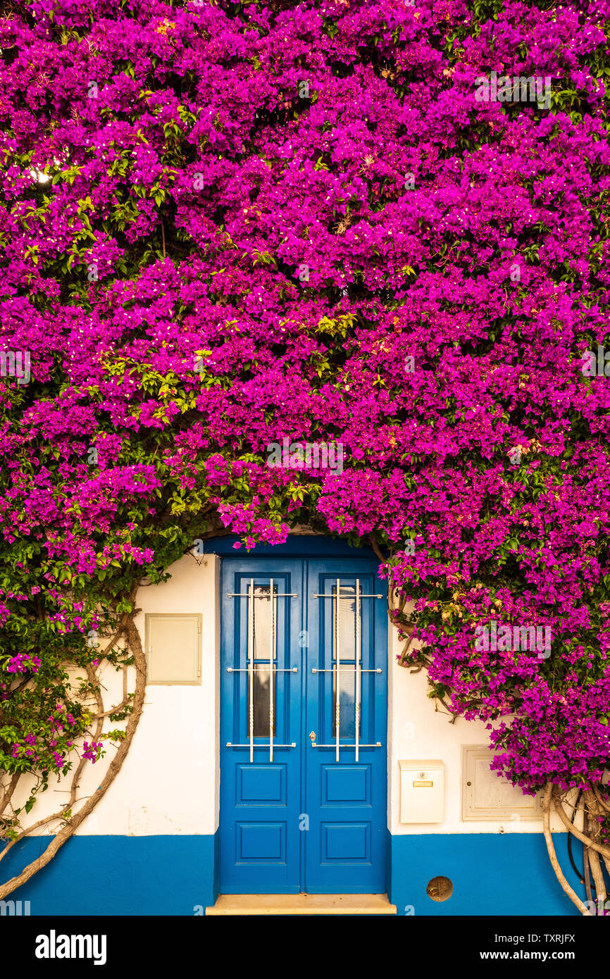 Eye catching door framed with purple flowers Stock Photo