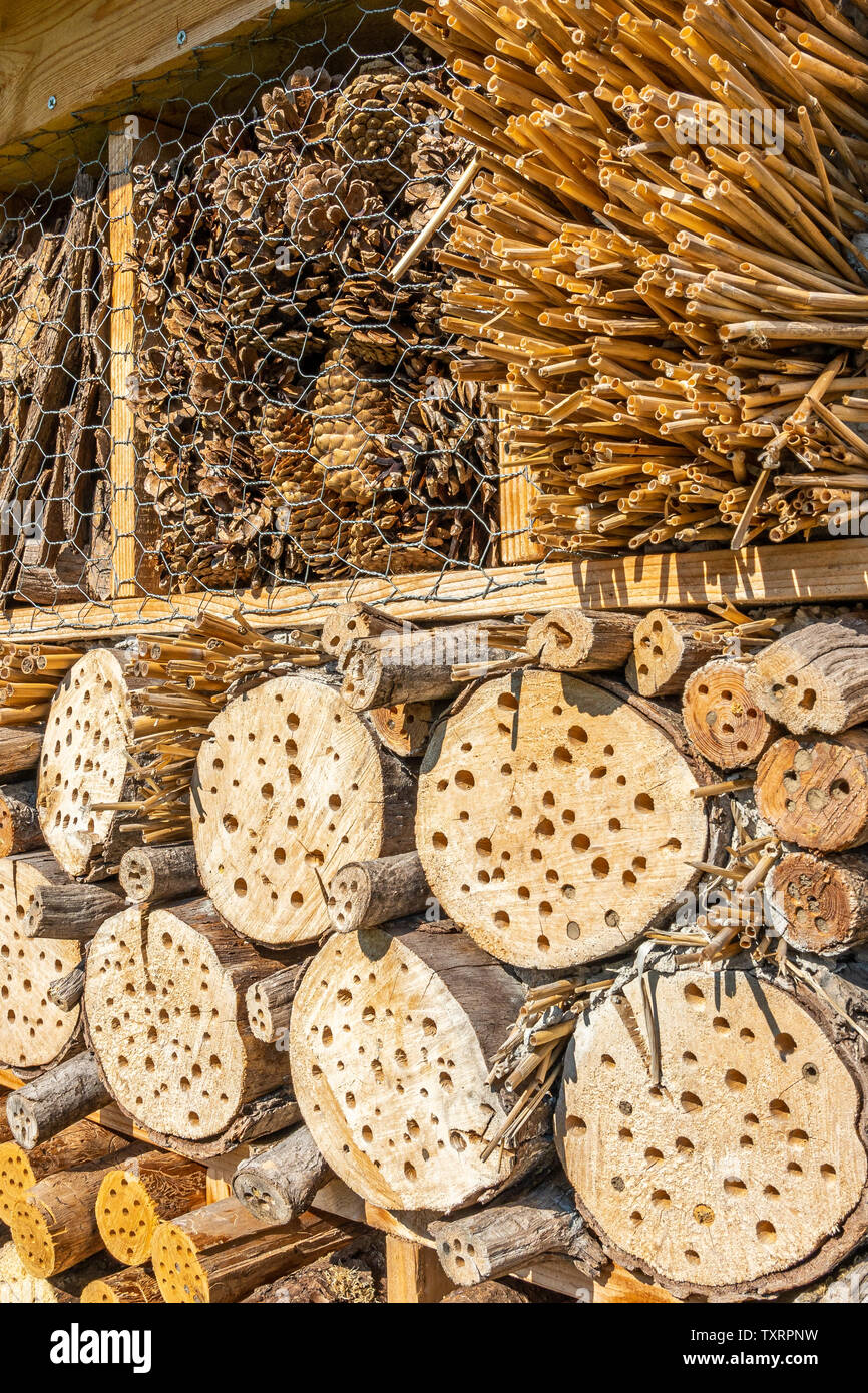 Close-up of insect hotel for wild bees and other insects made of ...