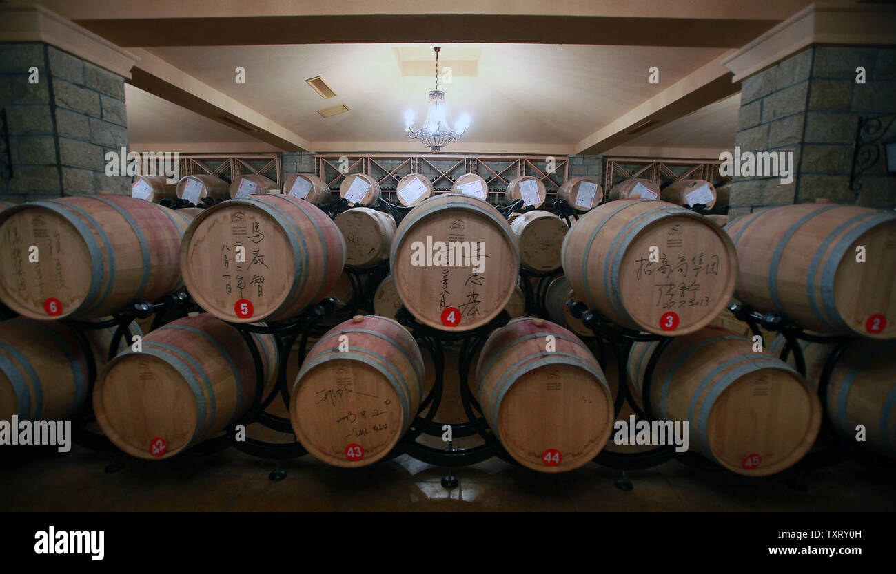 Casks of wine, each individually purchased by customers and companies, rest in the cellar of XiXia Wineries, one of China's top wine makers, in Yinchuan, the capital of China's northwestern Ningxia Hui Autonomous Province on September 16, 2013.   With the Chinese wine market booming, Yinchuan is predicted to become the country's wine capital as considerable foreign and domestic investment flows into the region.  China's wine market is leading the world in growth.   UPI/Stephen Shaver Stock Photo