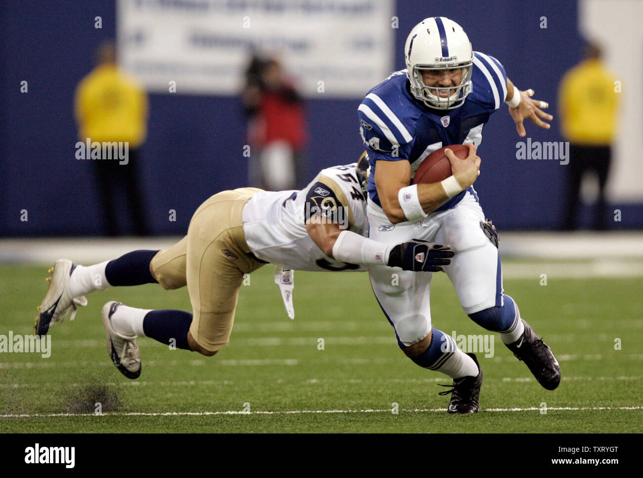 St louis rams tight end hi-res stock photography and images - Alamy