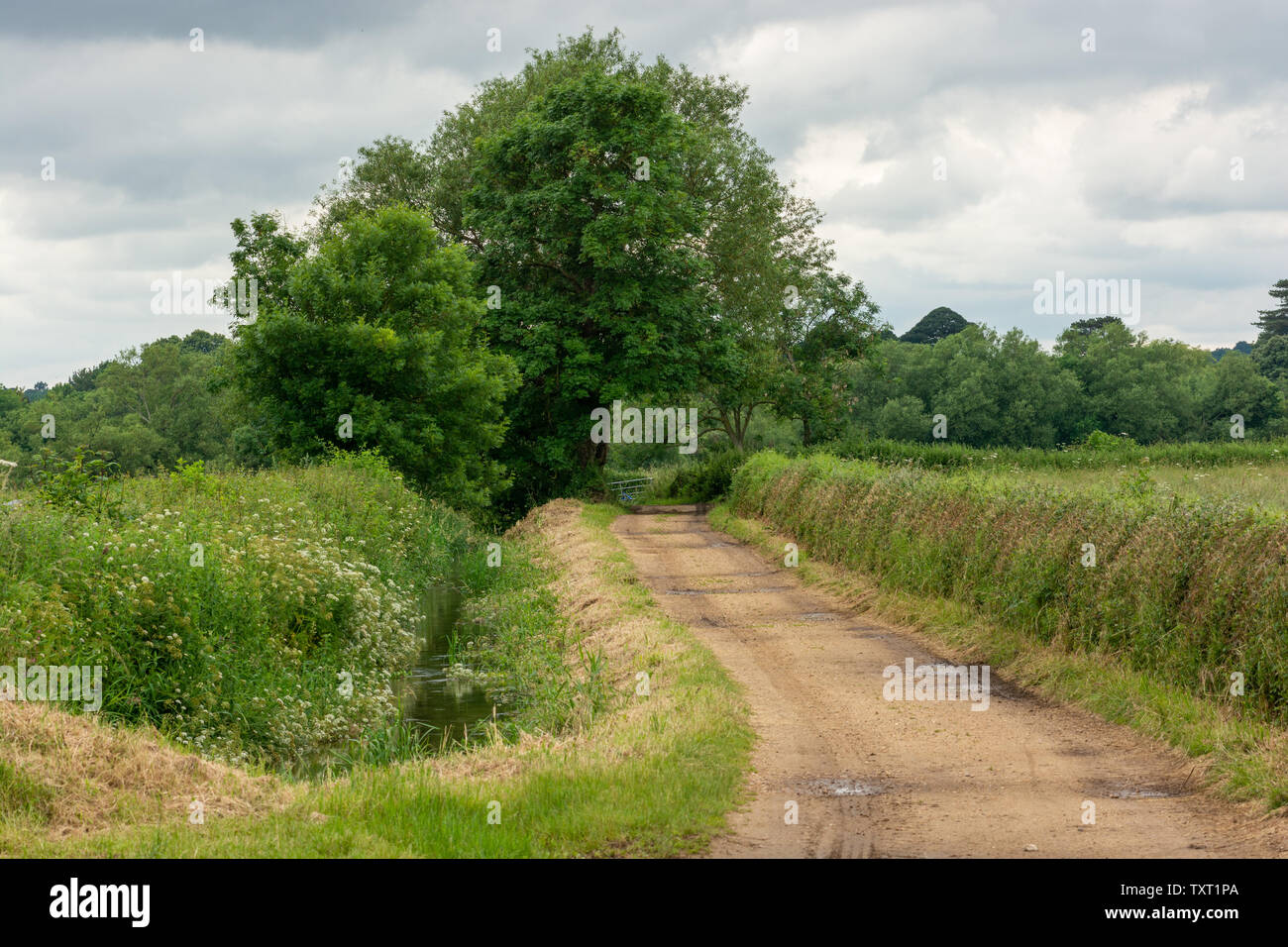 Gravel footpath through green English countryside Stock Photo