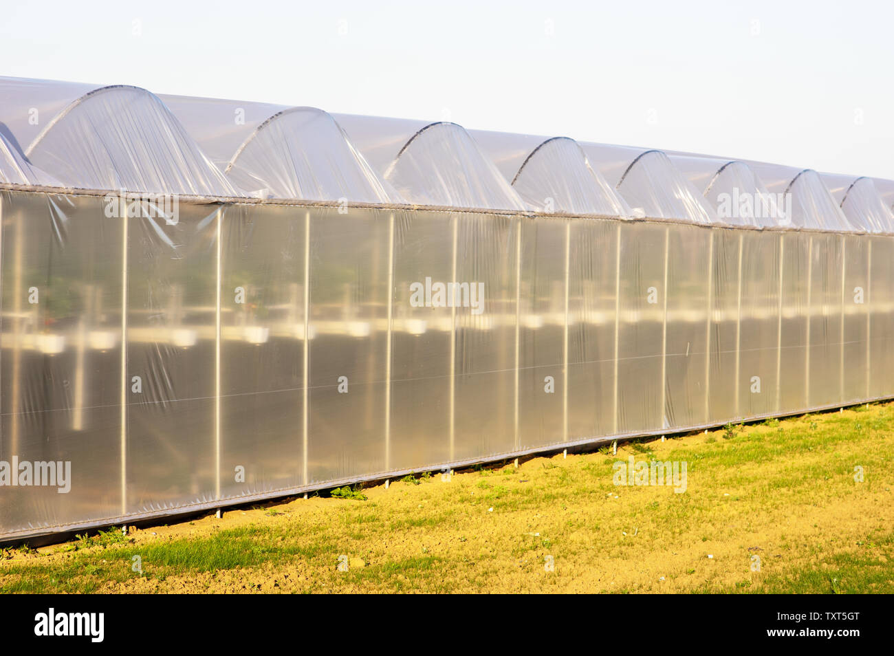 Greenhouse in a field made from plastic Stock Photo